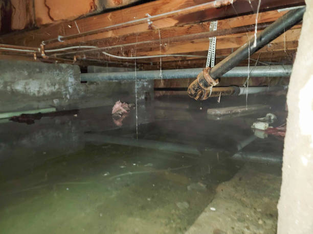 Best Sewage cleanup and water damage restoration  in Fond Du Lac, WI