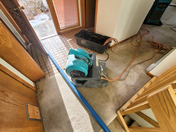 Best Sewage cleanup and water damage restoration  in Fond Du Lac, WI