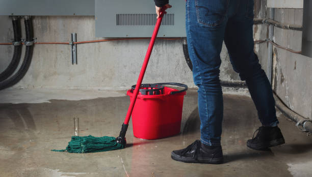 Best Water damage mitigation services  in Fond Du Lac, WI