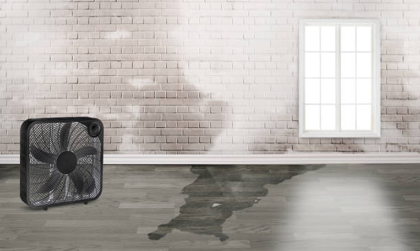 Best Flood damage cleanup  in Fond Du Lac, WI