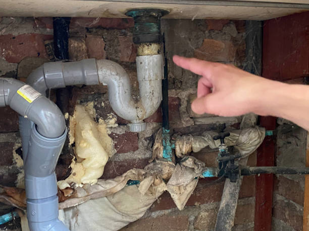 Best Water damage contractors near me  in Fond Du Lac, WI